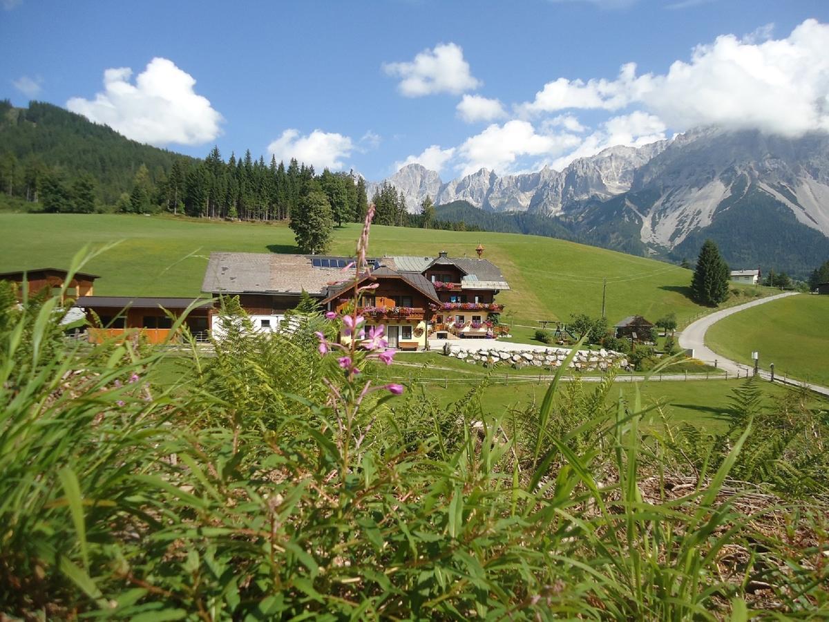 Pension-Greimelbacherhof 拉姆绍达赫斯坦 外观 照片